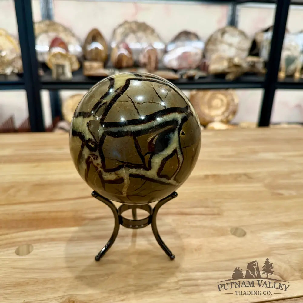 Madagascar Septarian Sphere 4.96’’ Sphere