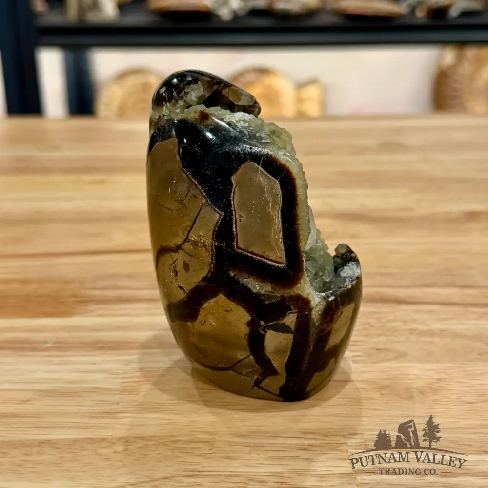 Madagascar Septarian Table Accent Sphere