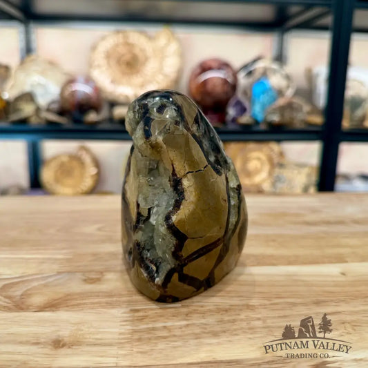 Madagascar Septarian Table Accent 4.29’’ - Accent