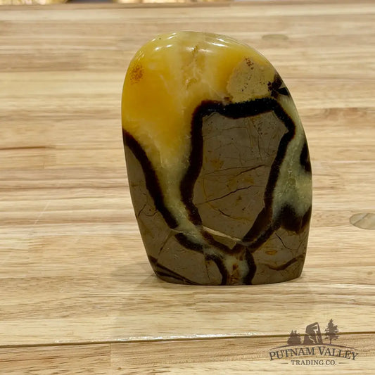 Madagascar Septarian Table Accent 4.5’’ Accent