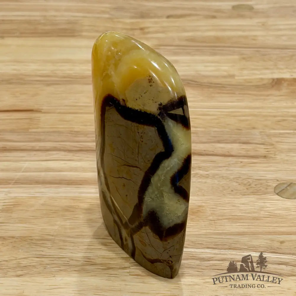 Madagascar Septarian Table Accent 4.5’’ Accent