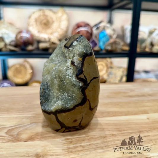 Madagascar Septarian Table Accent 4.86’’ - Accent
