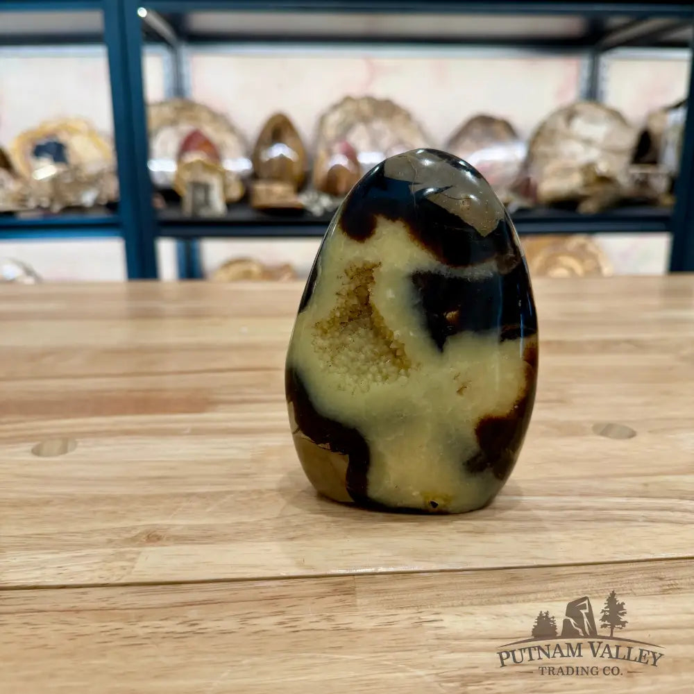 Madagascar Septarian Table Accent 4’’ Accent
