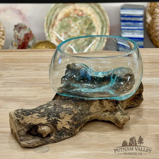 Molten Glass Bowl on Indonesian Driftwood 8.1’’ - Bowl