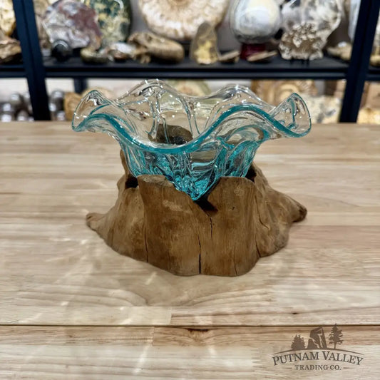 Molten Glass Flared Bowl on Indonesian Driftwood 9.5’’ - Bowl