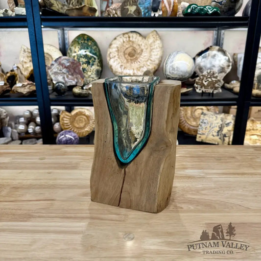 Molten Glass Vase on Indonesian Driftwood - Vase