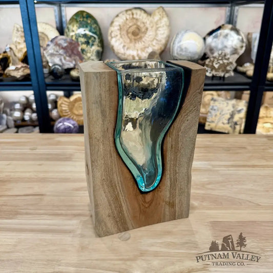 Molten Glass Vase on Indonesian Driftwood - Vase