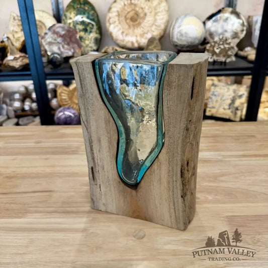 Molten Glass Vase on Indonesian Driftwood - Vase