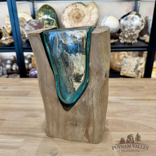 Molten Glass Vase on Indonesian Driftwood - Vase