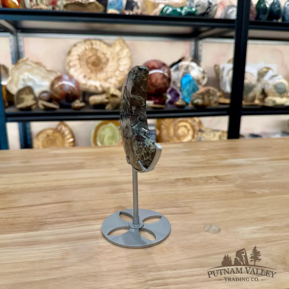 Money Agate Moon on Metal Stand 7.13’’ - Moon