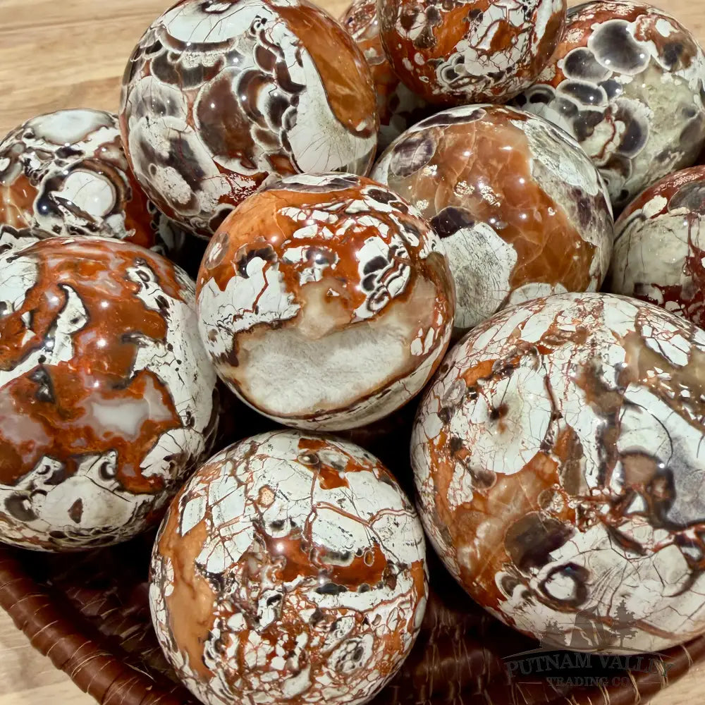 Money Agate Spheres | In Select Sizes - Sphere