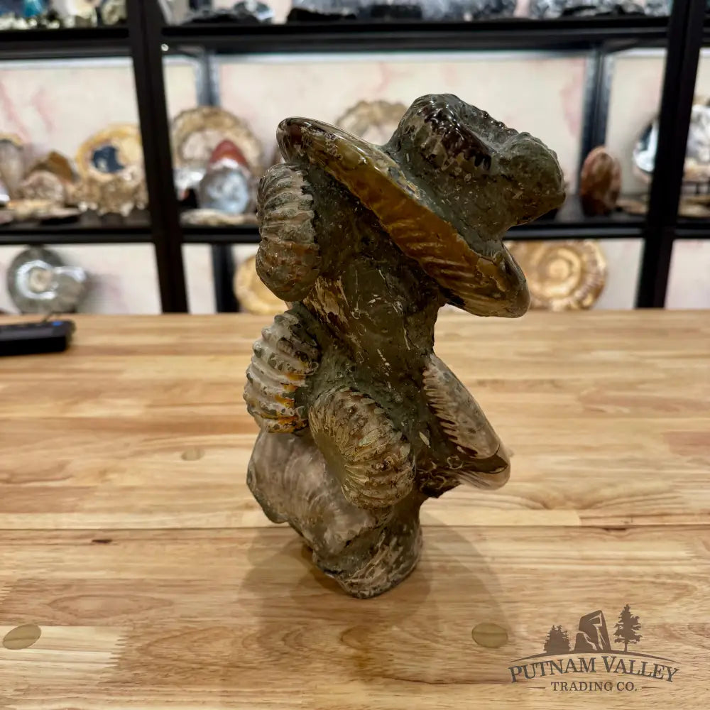 Moroccan Ammonite Cluster Sculpture 10.75’’ Fossil Sculpture