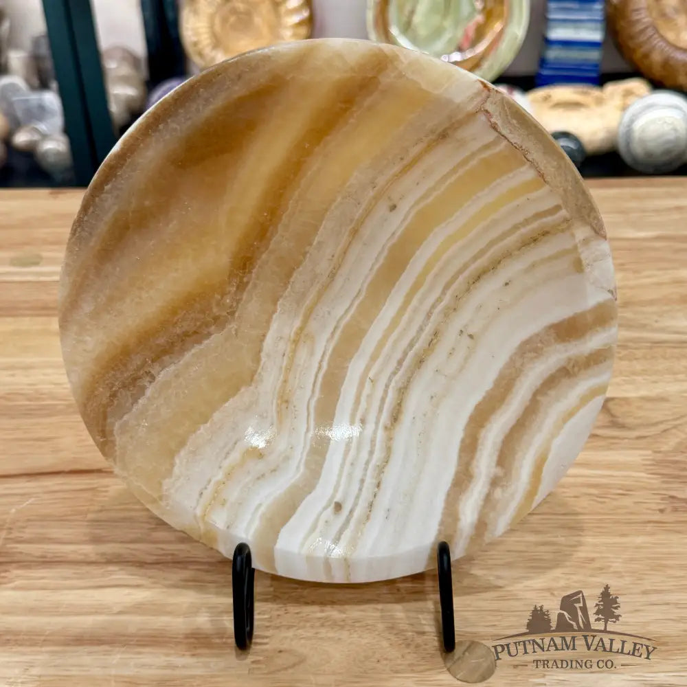 Moroccan Cream Aragonite Bowl 8’’ - Bowl