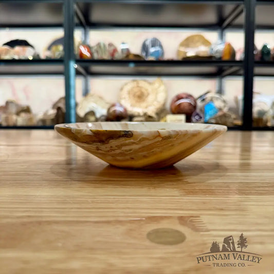 Moroccan Cream Aragonite Bowl 8’’ - Bowl
