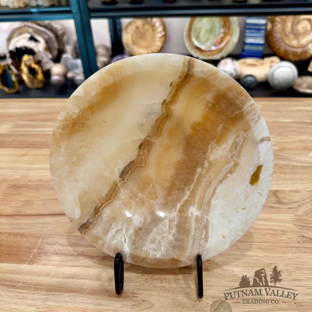 Moroccan Cream Aragonite Bowl 8’’ - Bowl