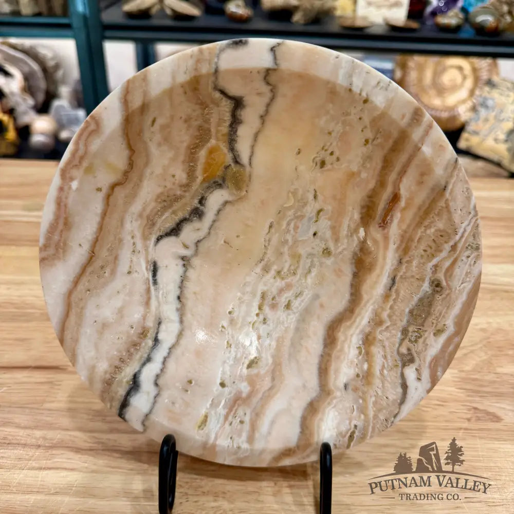 Moroccan Cream Aragonite Bowl 8’’ - Bowl