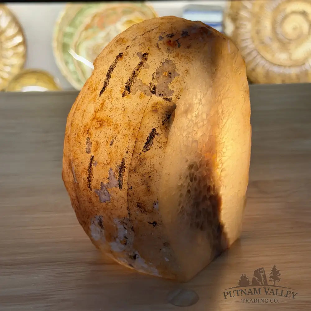 Natural Edge Polished Agate Lamp 6.18lb - Lamp