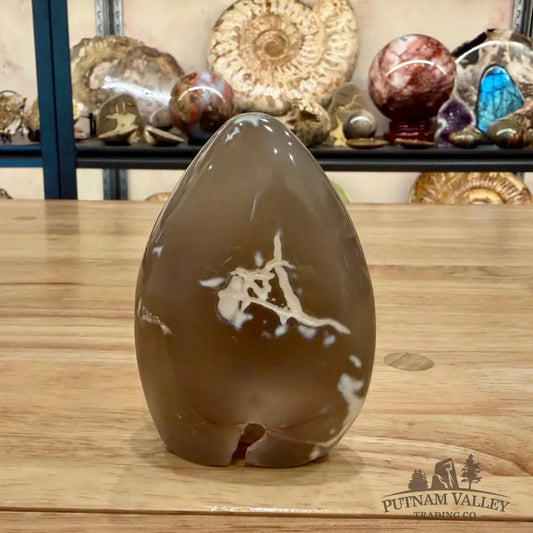 Orca Agate Table Accent 3.88’’ - Accent