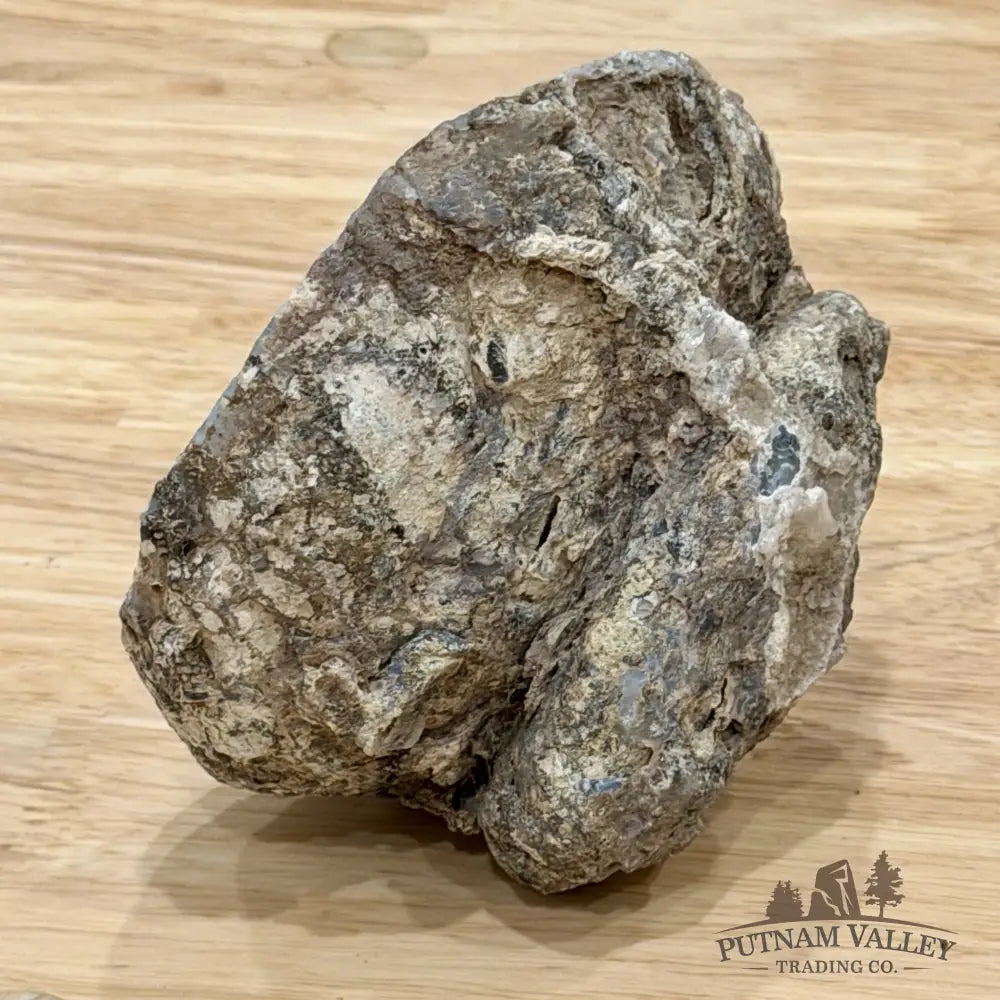 Oregon Blue-Gray Agate Thunderegg Half 4.64’’ - Accent
