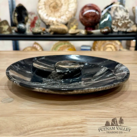 Orthoceras & Ammonite Fossil Serving Plate 10’’ 1 - Fossil Plates