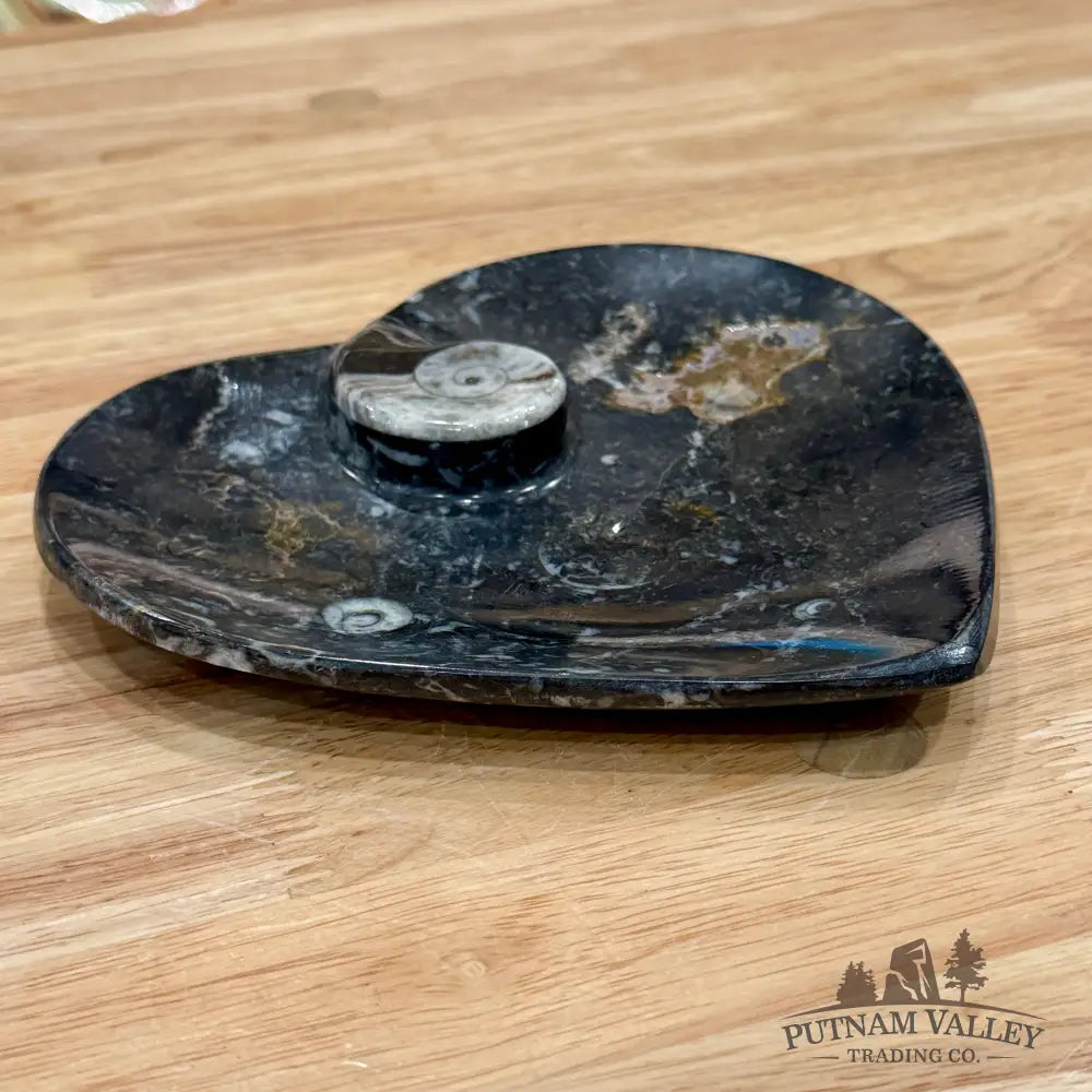 Orthoceras & Ammonite Heart Dish 6.5’’ - Fossil Plate