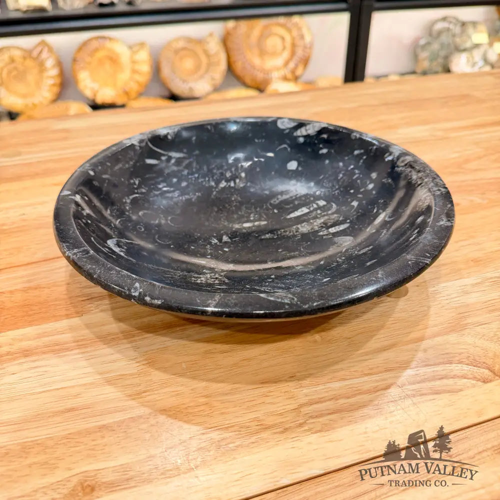 Orthoceras Fossil Bowl 10’’