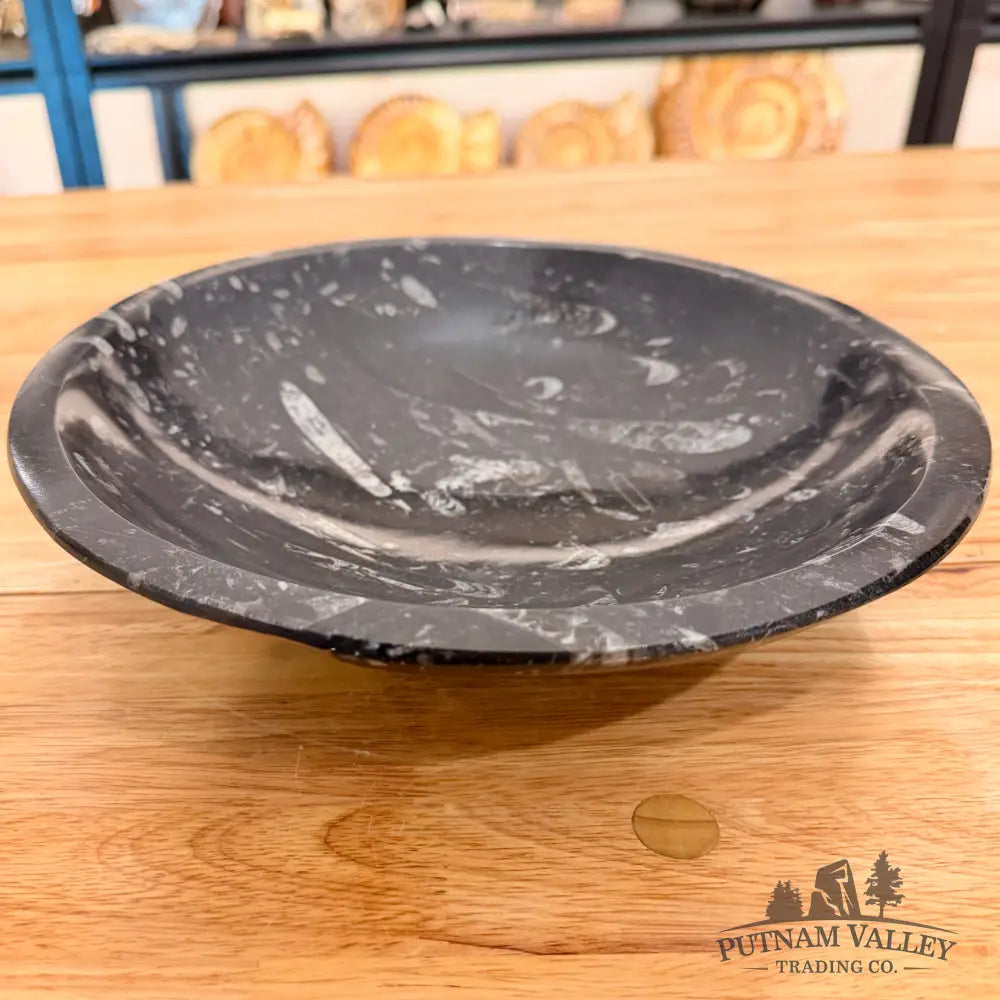 Orthoceras Fossil Bowl 10’’