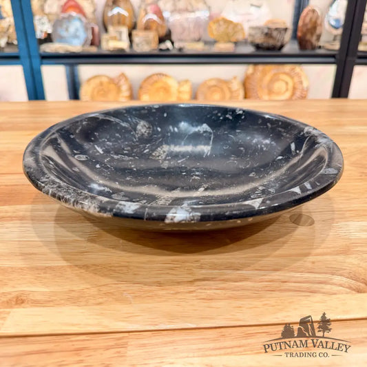 Orthoceras Fossil Bowl 10’’