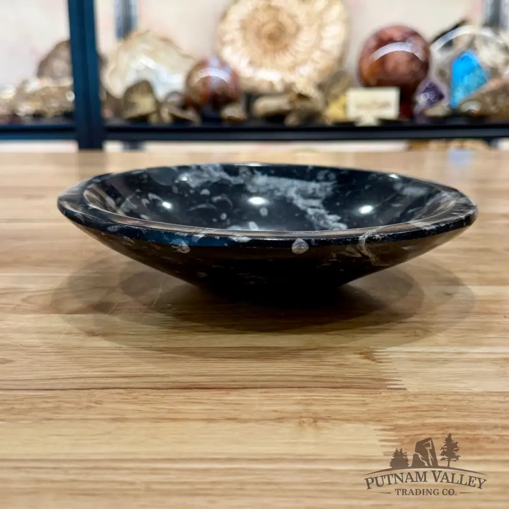 Orthoceras Fossil Bowl 8’’ - Fossil Bowl