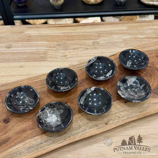 Orthoceras Fossil Bowls 2.85’’ | Morocco - Fossil Bowl