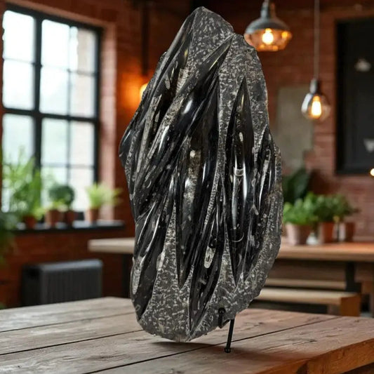 Orthoceras Fossil Slab Fossil Slab