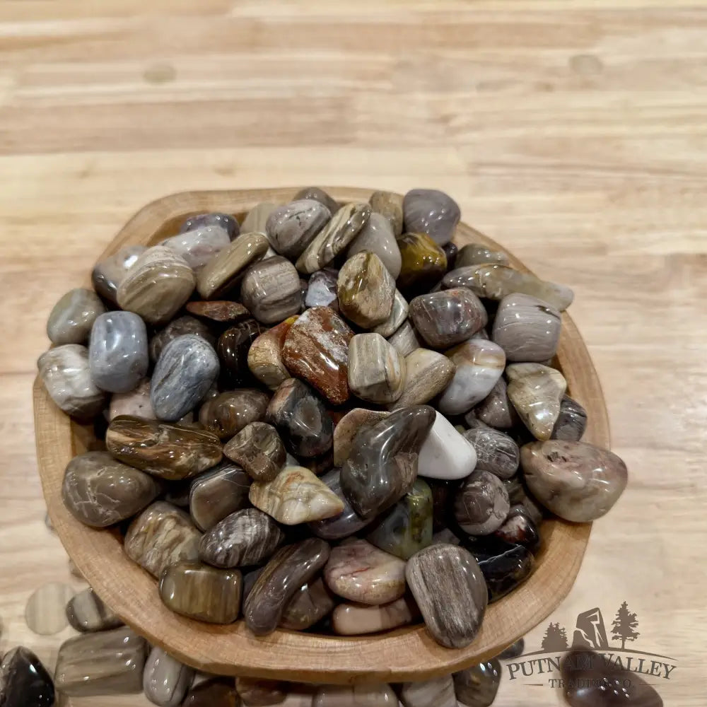 Pacific Northwest Petrified Wood Tumbles (½ lb) - Tumbled Stone