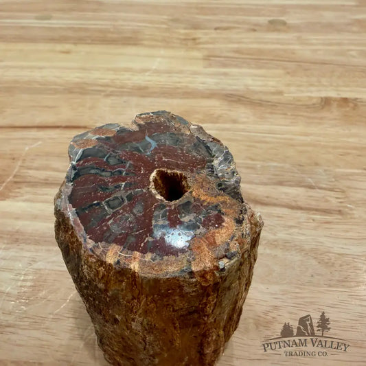 Petrified Wood Mini Stump Accent 2.89’’ - Accent