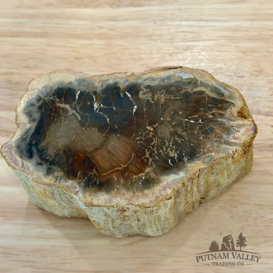 Petrified Wood Mini Stump Accent 3.9’’ - Accent