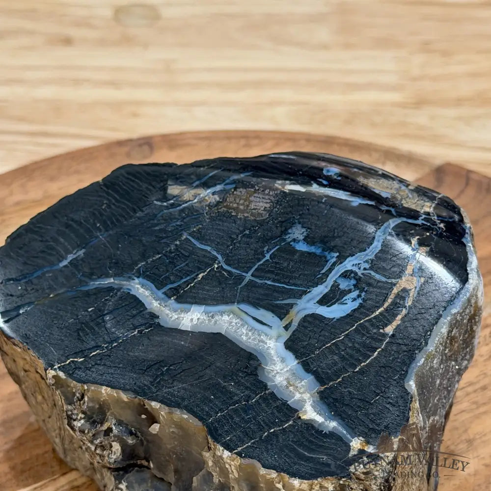 Petrified Wood Mini Stump Accent 4.8’’ - Free Standing Accent