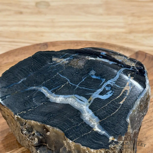 Petrified Wood Mini Stump Accent 4.8’’ - Free Standing Accent