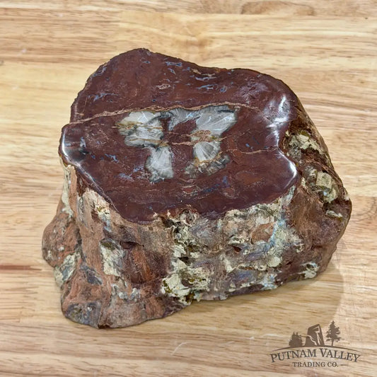 Petrified Wood Mini Stump Accent 5.97’’ - Accent