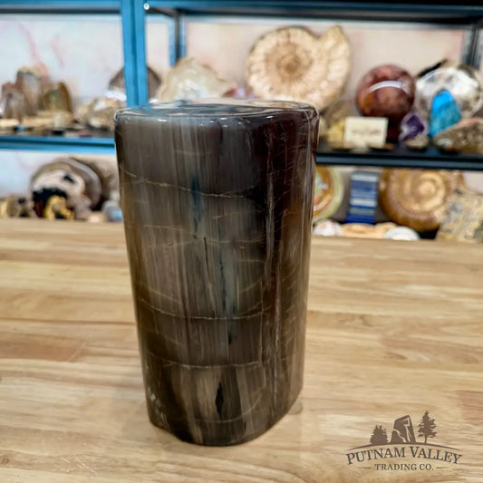 Petrified Wood Round Pillar 9.15’’ - Accent
