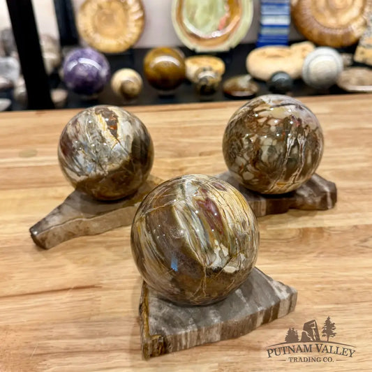 Petrified Wood Sphere Stands - Stands & Accessories