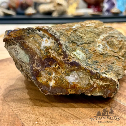 Petrified Wood Table Accent 6.75’’ - Sculpture