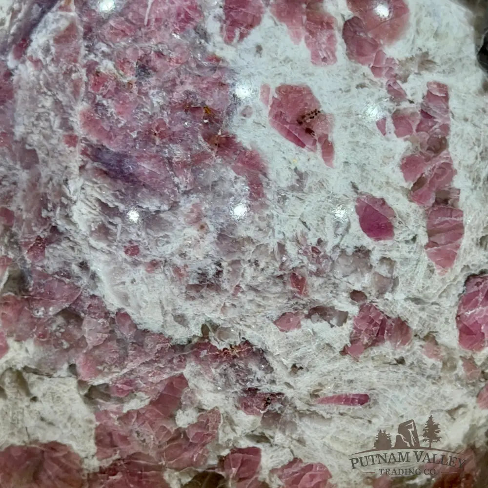 Pink Tourmaline in Quartz Sphere 5.3’’ - Sphere