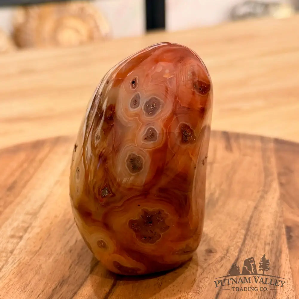 Polished Carnelian Accent 3.54’’ Accent