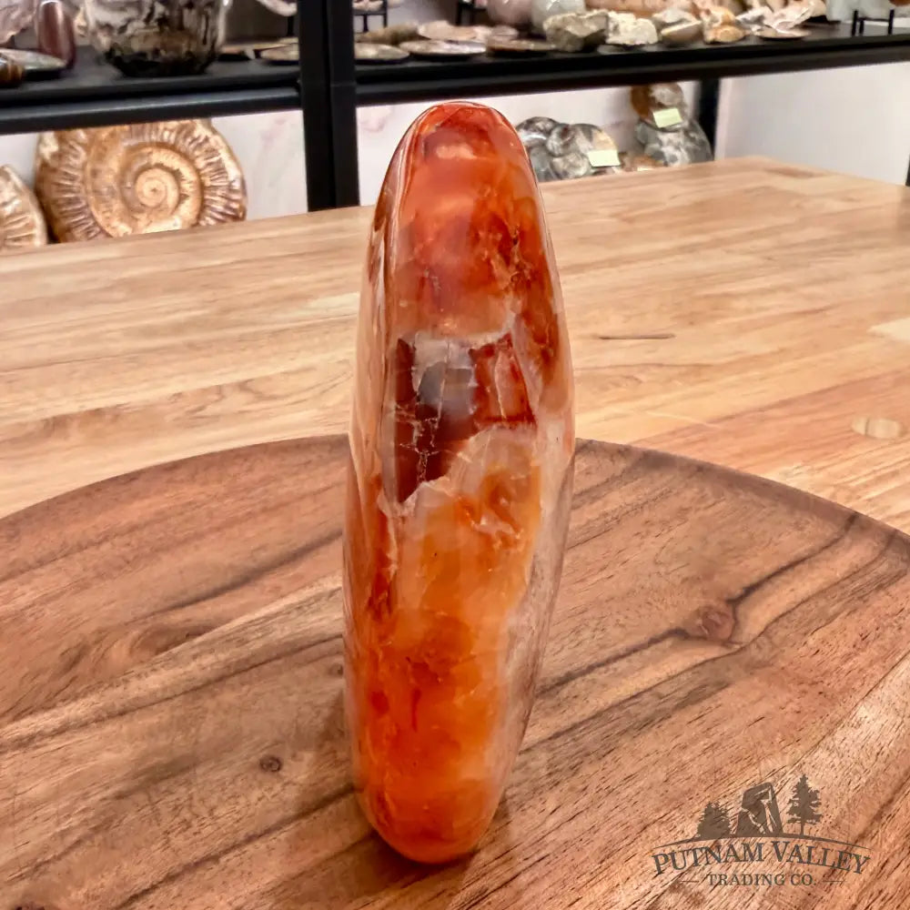 Polished Carnelian Accent 4.78’’ Accent