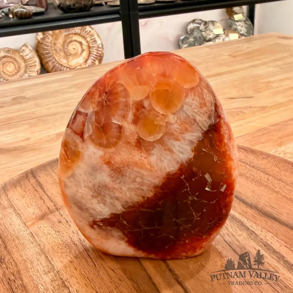 Polished Carnelian Accent 4.78’’ Accent