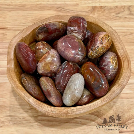 Polished Madagascar Petrified Wood Stones (1 lb) Tumbled Stone