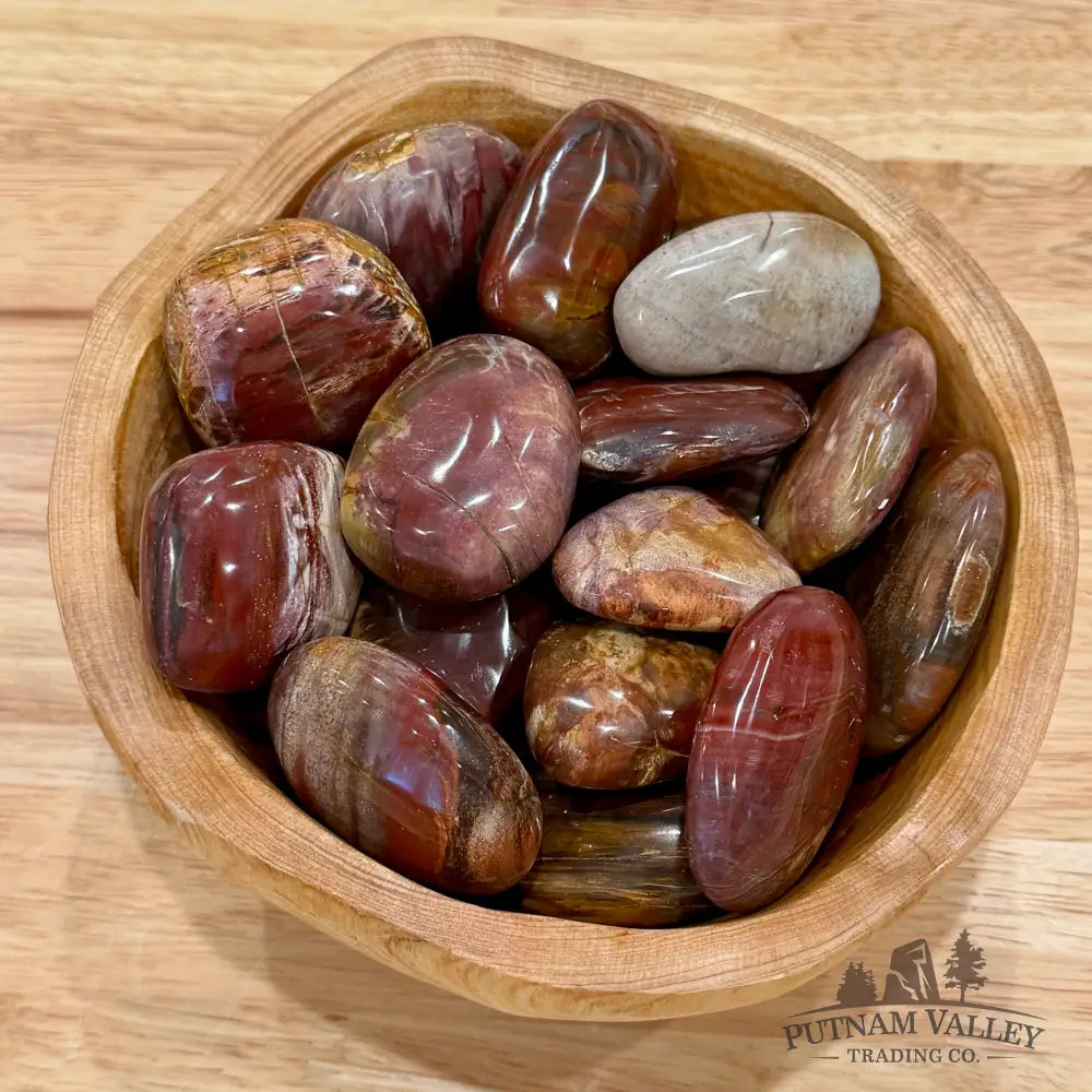 Polished Madagascar Petrified Wood Stones (1 lb) Tumbled Stone