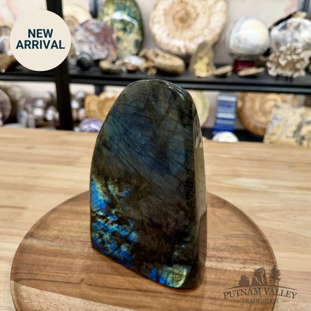 Rainbow Labradorite Table Accent 7.45’’ - Free Standing Accent