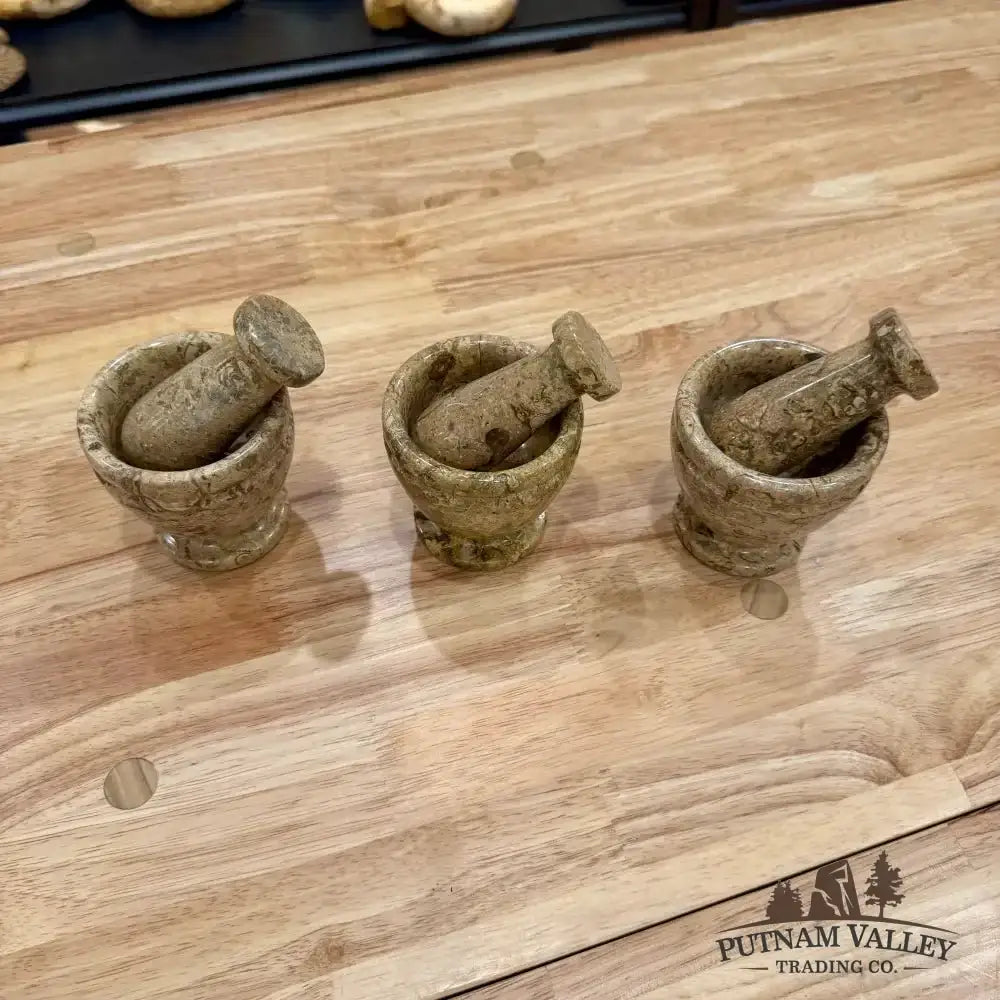 Real Fossil Marble Mortar & Pestle 2.95" - Putnam Valley Trading Co.
