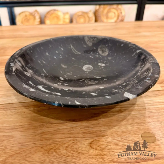 Orthoceras Fossil Bowl 10’’