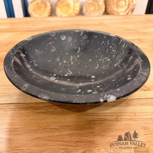 Orthoceras Fossil Bowl 10’’